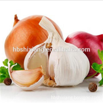 animal feed garlic allicin 25%